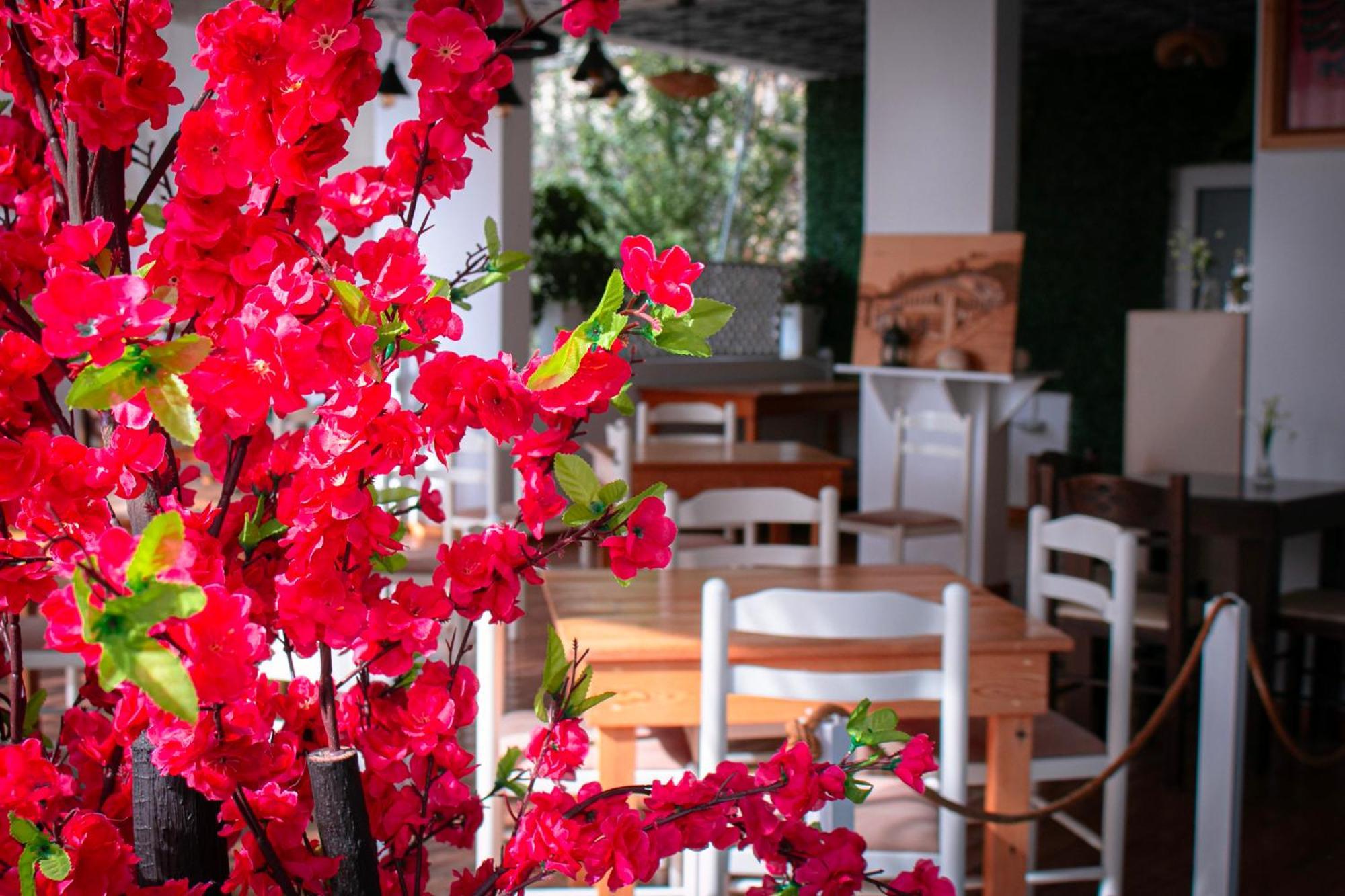 Hotel Fron Σαράντα Εξωτερικό φωτογραφία